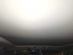 Volkswagen Sagitar 300TSI DSG Excellence Edition - photo 8