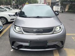 BYD Dolphin 405km Freedom Edition - фото 2