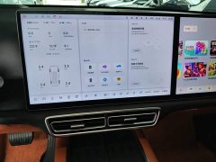 Li Auto L6 Pro - ფოტო 12