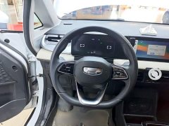 Geely Geometry E Firefly 320KM Cute Tiger 5-Seater - фото 10
