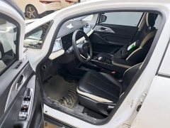 Geely Geometry E Firefly 320KM Cute Tiger 5-Seater - фото 15