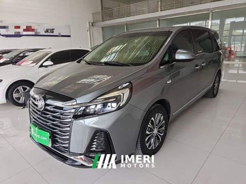 2021 Buick GL8 Land Business Class 652T Luxury