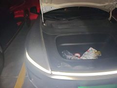 Tesla Model Y Rear-Wheel Drive - ფოტო 19