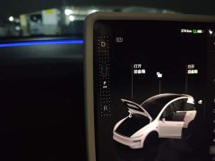 Tesla Model Y Rear-Wheel Drive - ფოტო 6