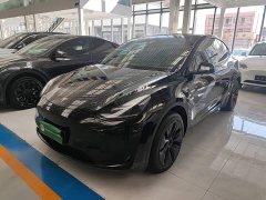 Tesla Model Y Rear-Wheel Drive - photo 1