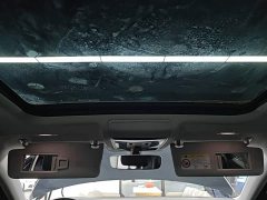 Volkswagen Passat 330TSI Starry Sky Elite - ფოტო 17