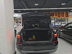 Volkswagen Passat 330TSI Starry Sky Elite - ფოტო 18