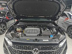 Volkswagen Passat 330TSI Starry Sky Elite - ფოტო 19