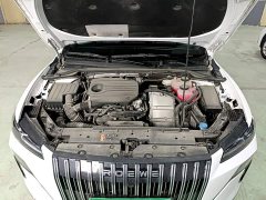 SAIC Roewe M7 DMH 160km Comfort Edition - ფოტო 19