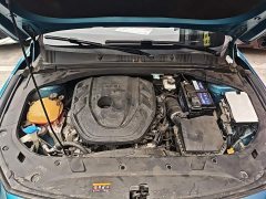Geely Xingrui 2.0T Diesel Luxury - ფოტო 19