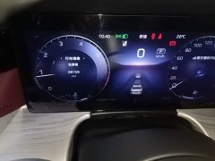 FAW Red Flag H5 2.0T Automatic Mystic Shadow Edition - фото 11