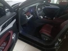 FAW Red Flag H5 2.0T Automatic Mystic Shadow Edition - фото 15