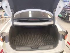Changan Yidong Blue Whale 1.5T 500Bar Flagship - ფოტო 18