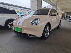 ORA Good Cat 401km Standard Range Luxury LFP - ფოტო 1