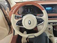 ORA Good Cat 401km Standard Range Luxury LFP - ფოტო 10