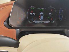 ORA Good Cat 401km Standard Range Luxury LFP - ფოტო 11