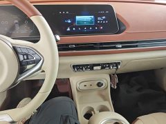 ORA Good Cat 401km Standard Range Luxury LFP - ფოტო 12