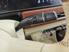 ORA Good Cat 401km Standard Range Luxury LFP - ფოტო 13