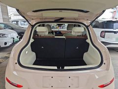 ORA Good Cat 401km Standard Range Luxury LFP - ფოტო 18