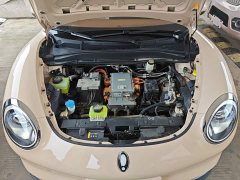 ORA Good Cat 401km Standard Range Luxury LFP - ფოტო 19