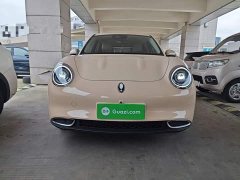 ORA Good Cat 401km Standard Range Luxury LFP - ფოტო 2
