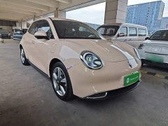ORA Good Cat 401km Standard Range Luxury LFP - ფოტო 3