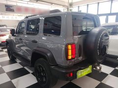 Tank 300 Off-Road Edition 2.0T Conqueror - ფოტო 4