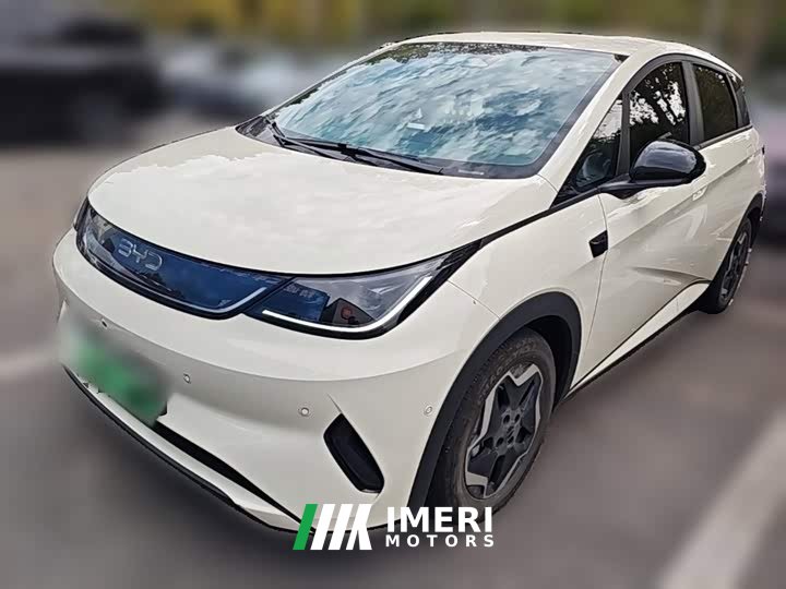 BYD Dolphin Smart Drive 420km Freedom Edition - ავტომობილი ჩინეთიდან