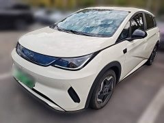 BYD Dolphin Smart Drive 420km Freedom Edition - ფოტო 1