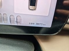 BYD Dolphin Smart Drive 420km Freedom Edition - ფოტო 16