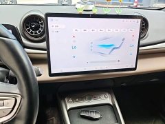 BYD Dolphin Smart Drive 420km Freedom Edition - ფოტო 17