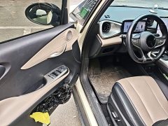 BYD Dolphin Smart Drive 420km Freedom Edition - ფოტო 20