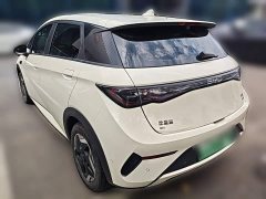 BYD Dolphin Smart Drive 420km Freedom Edition - ფოტო 6