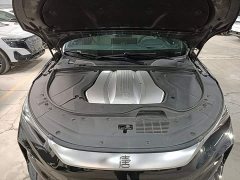 BYD Tang New Energy EV 730KM Premium Edition - photo 19