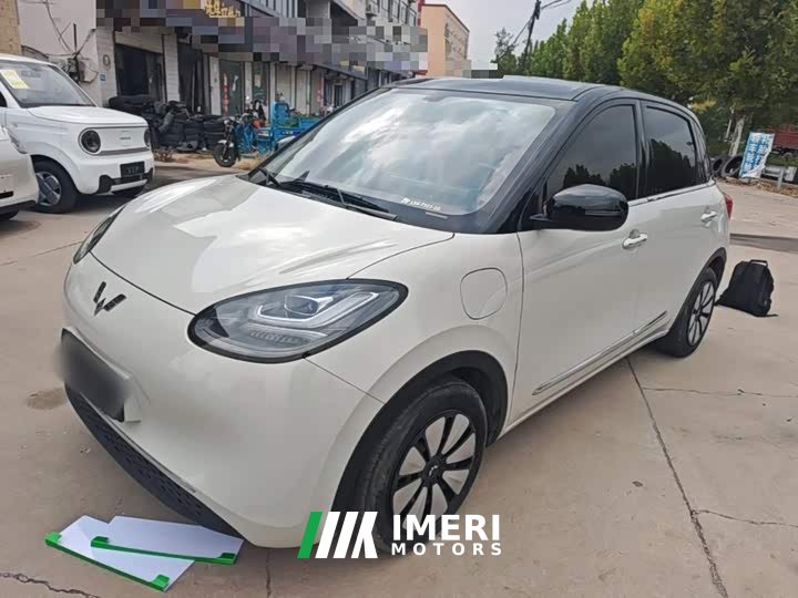 Wuling Binguo 333km Joy Edition - car from China