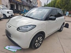 Wuling Binguo 333km Joy Edition - photo 1
