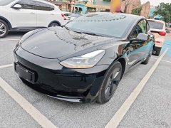Tesla Model 3 Standard Range RWD Upgrade 3D6 - фото 1