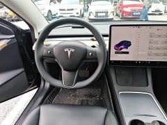 Tesla Model 3 Standard Range RWD Upgrade 3D6 - фото 10