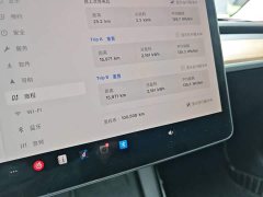 Tesla Model 3 Standard Range RWD Upgrade 3D6 - фото 11