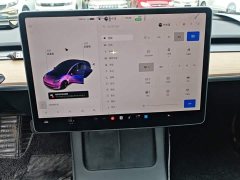 Tesla Model 3 Standard Range RWD Upgrade 3D6 - фото 12