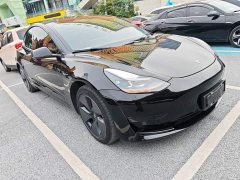 Tesla Model 3 Standard Range RWD Upgrade 3D6 - фото 3