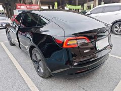 Tesla Model 3 Standard Range RWD Upgrade 3D6 - фото 4