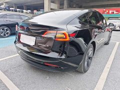 Tesla Model 3 Standard Range RWD Upgrade 3D6 - фото 6