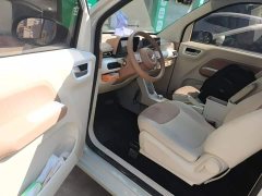 Wuling Hongguang MINIEV Third Generation 215km Youth Edition - photo 15