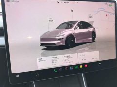 Tesla Model Y Rear-Wheel Drive - ფოტო 11