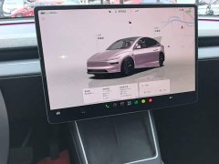 Tesla Model Y Rear-Wheel Drive - ფოტო 12