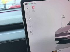 Tesla Model Y Rear-Wheel Drive - ფოტო 13