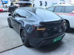 Tesla Model Y Rear-Wheel Drive - ფოტო 4