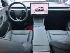 Tesla Model Y Rear-Wheel Drive - ფოტო 9
