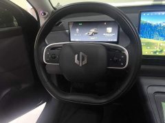 Leapmotor C16 Pure Electric 520 Deluxe Edition - ფოტო 11